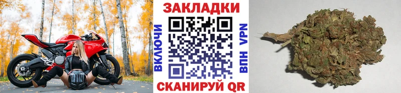 Как найти наркотики Беломорск ГАШИШ  Каннабис  КЕТАМИН  Меф мяу мяу  Cocaine  APVP 